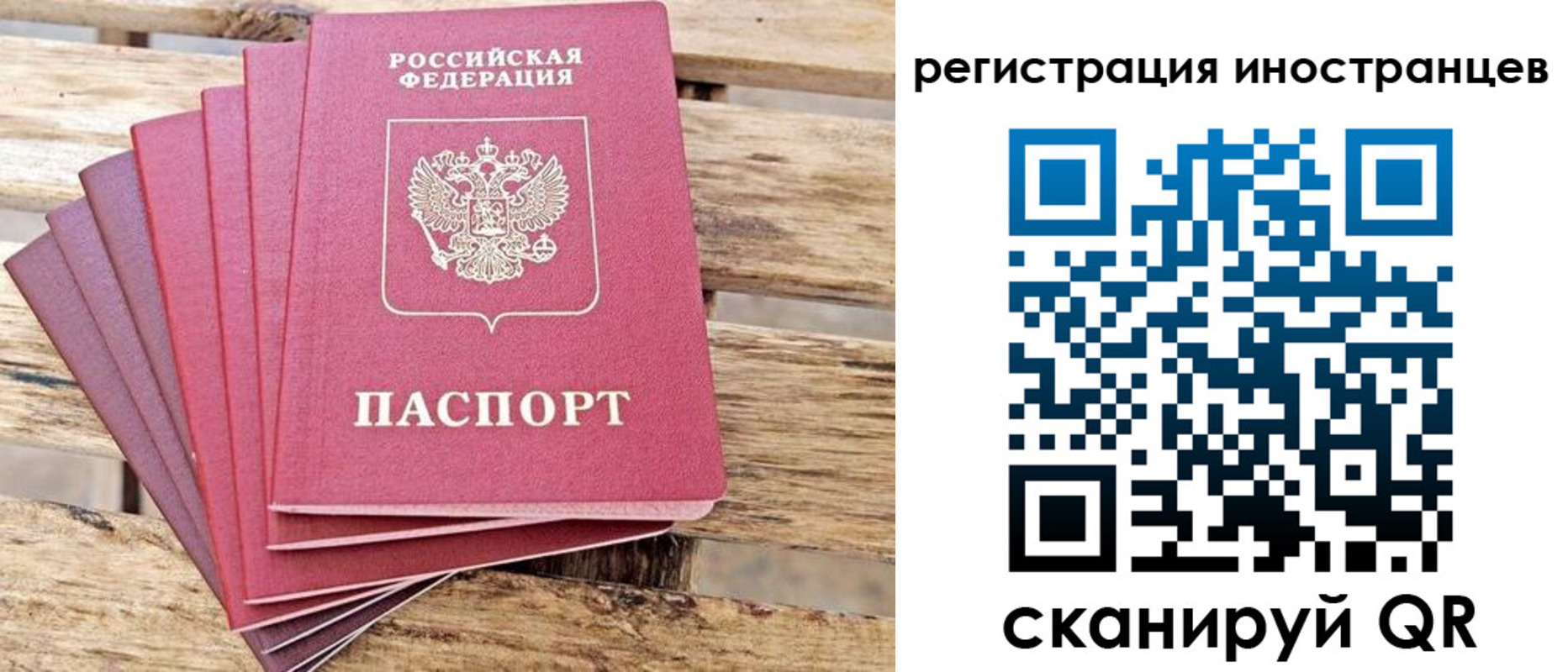 временная прописка в Светлом