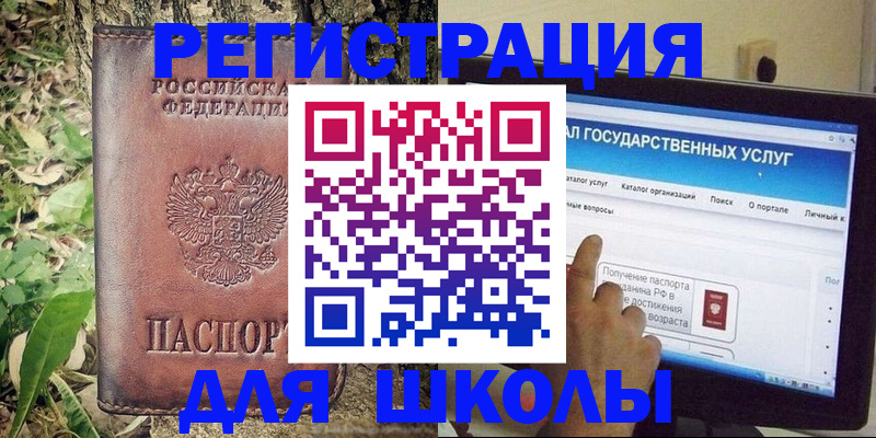 прописка для школы в Светлом